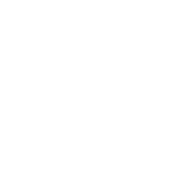 ce logo Southaven